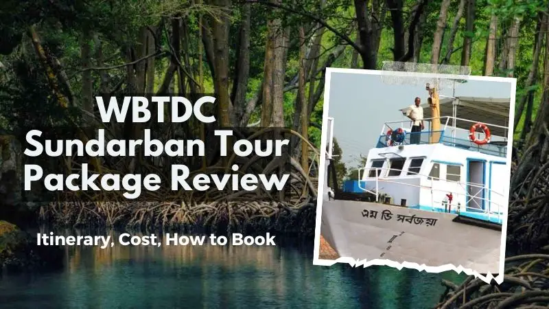 WBTDC Sundarban Tour Package Review