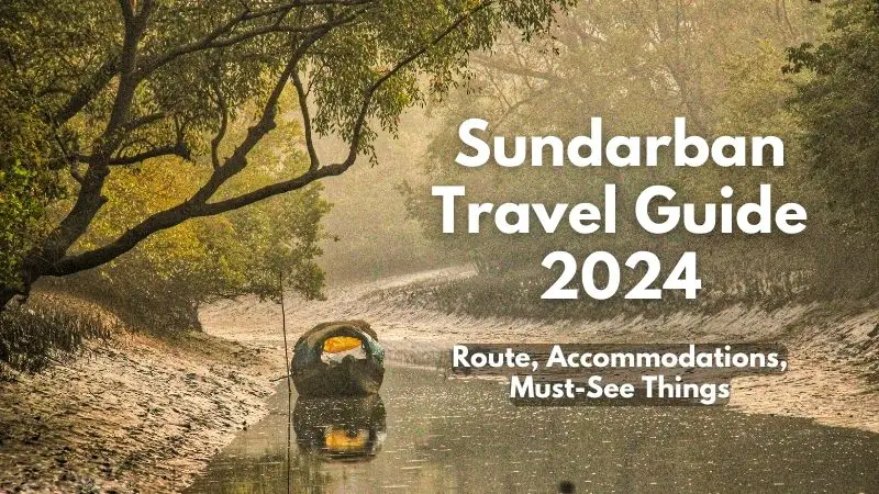 Sundarban Travel Guide 2024